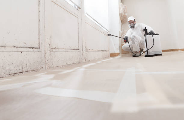 24/7 Emergency Mold Removal experts in Washington Crossing, PA